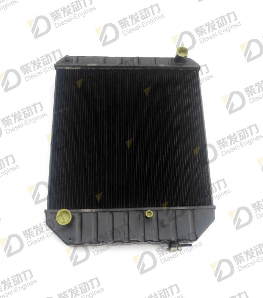 Radiator 21063818 